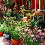 Efe Bungalov